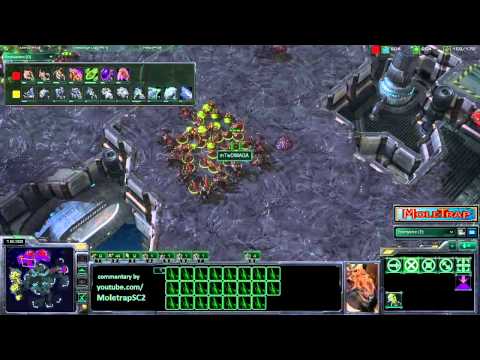 Starcraft 2 DIMAGA vs beastyqt Game 1  TvZ SC2 pro VOD