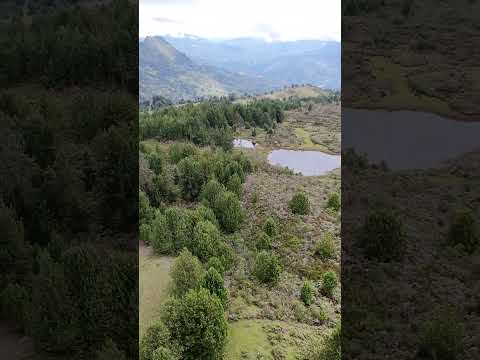 Cuchilla San Cayetano. frontera Boyacá Cundinamarca #colombia #travel