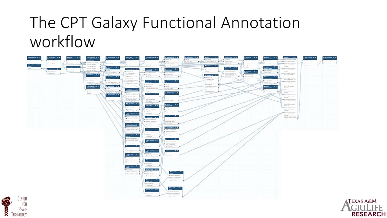 CPT functional workflow for phage genome annotation