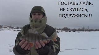 Зимняя рыбалка в ногинском районе