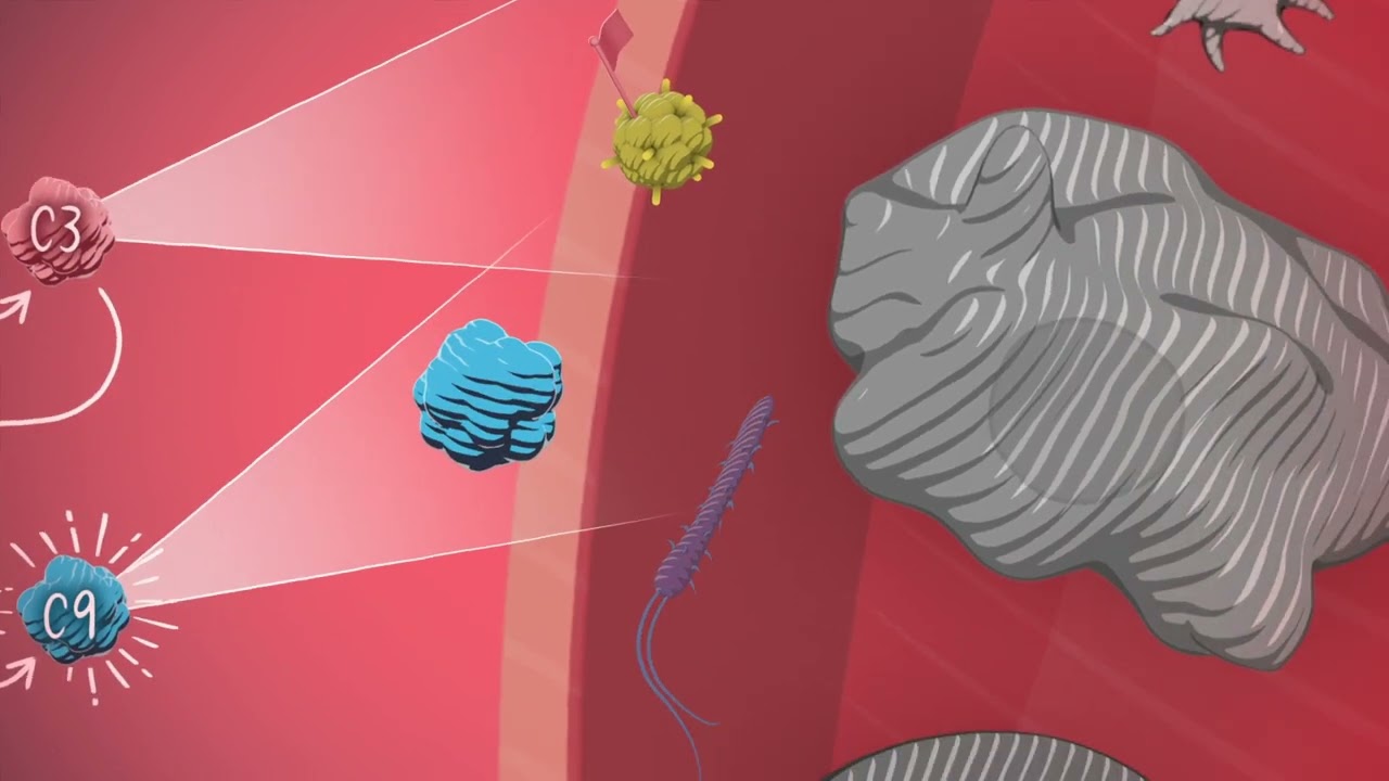 Understanding PNH: A Closer Look with Dr. Anita Hill