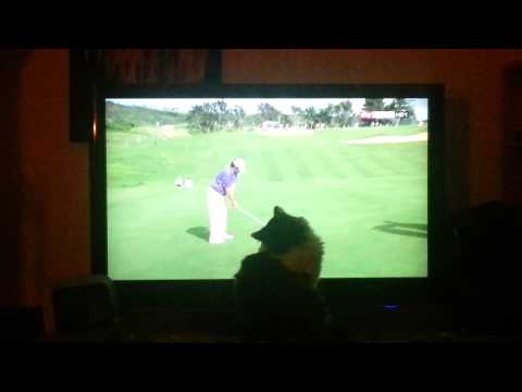 Fluffy Golf IOS