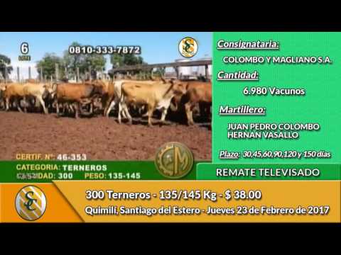 23-02-17 - Venta de Invernada - Remate Televisado de Colombo y Magliano S.A.