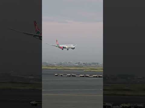 Kenya Airways Boeing 787 landing in Nairobi #aviationphotography