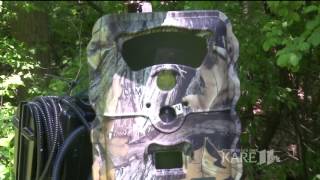 Is a cougar running around Lakeville, MN?