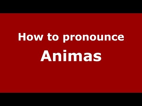 How to pronounce Animas