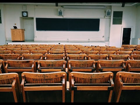 Das Universum in der Nussschale   Hörbuch