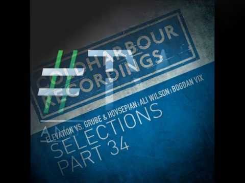 Ali Wilson - Angelic State (Original Mix) [TWT 065 RIP]
