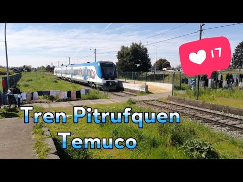 Viaje en Tren de la Araucanía Pitrufquen Temuco 