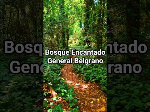 Bosque Encantado #generalbelgrano #bosqueencantado #buenosaires #campo #bosque