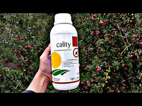 cality treadcrop || calcium for all crops