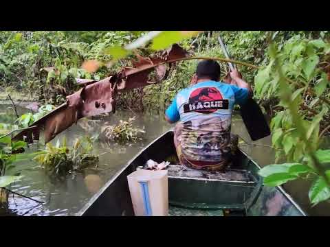 PESCARIA NA CACAIA @AmigosdaAventuraAmazônica 