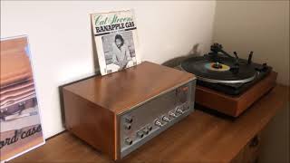 Cat Stevens - Banapple gas (YouTube Channel The Record Case)