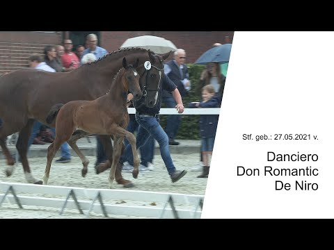 Stf v Danciero x Don Romantic x De Niro 2021