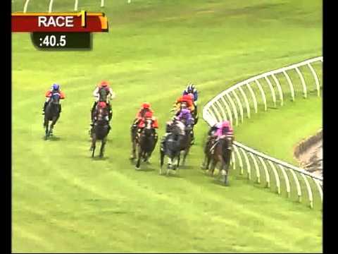 13 FEBRUARY 2016 RACE 1