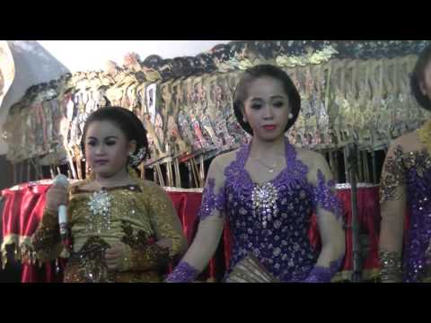 Sinom Nyamat Sikucing - Dimas Niken Salindri (Wayangan)