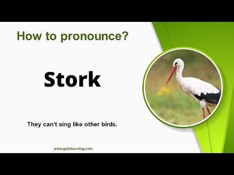 How to pronounce Stork in English correctly