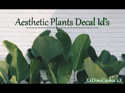 Roblox Bloxburg Colourful Aesthetic Decal Ids Youtube