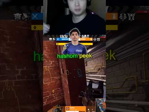 NEW Hashom Peek is better than Shaiiko Peeking in Siege??