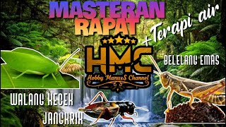 Download lagu Suara walang kecek , belalang emas dan jangkrik mp3