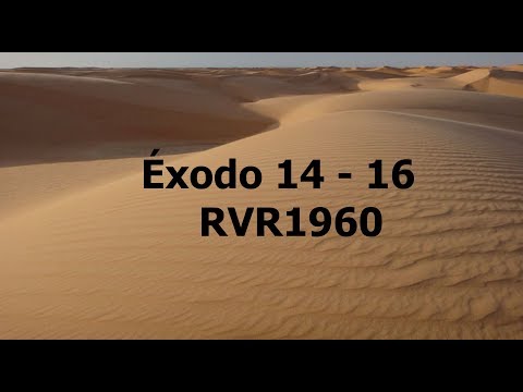 La biblia hablada/Éxodo 14 - 16
