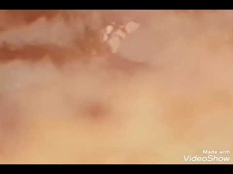 Mouse King 1995 Stampede Part 9