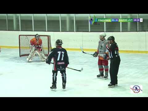 🔴LIVE| KIRÁLY PINGVINEK - HK HALYCKÉ LEVY NOVOJAVORIVSK| HOCKEY LVIV OPEN CUP 2019