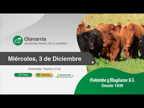 2025.12.03 Olavarria