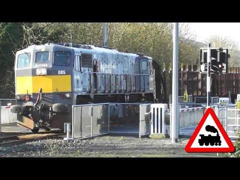 Ballydine Railway Crossing - IE 071 Class loco 085 on Timber Wagon Transfer