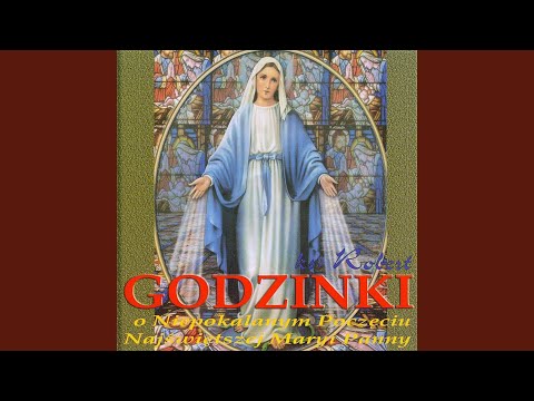 Zdrowas badz, Maryja