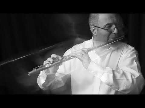 @ionbogdanstefanescu  Telemann   Fantaisie 10