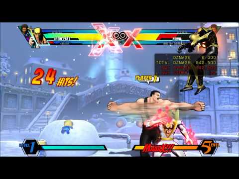 Maximum Swag - A Mini-Combo Video- by Miniboss