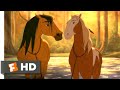 Spirit Stallion Of The Cimarron Horses In Love Fandango Family