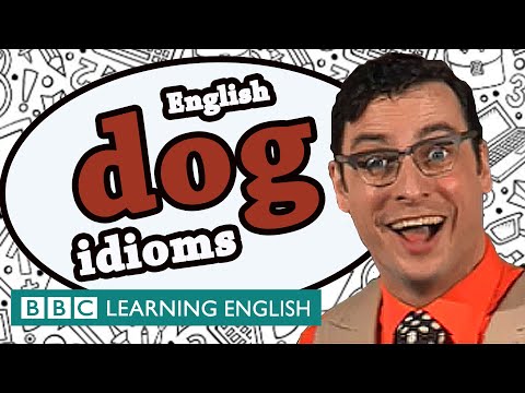 Dog Idioms - BBC Learning English