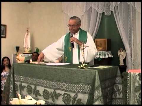 Domingo 31 Comum   - 2 Novembro 2014