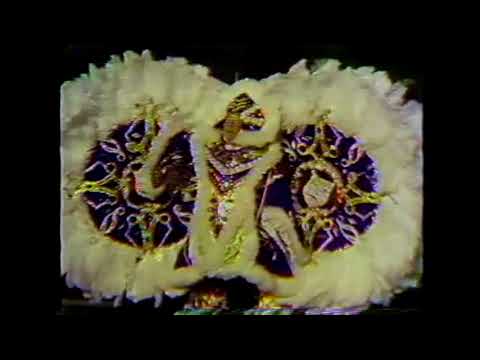 1976 Woodland String Band "Down Mummery Lane" - 3rd Place