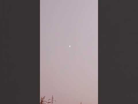 #music  berta cetar jumping #shorts and #shortvideo