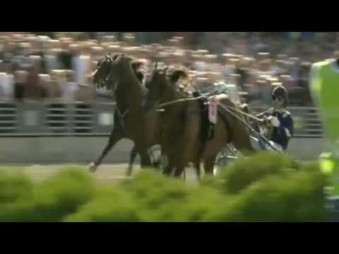 Elitloppet 2010 ICELAND (10,5a)  & Johnny Takter  - Solvalla Sweden (mob. version)