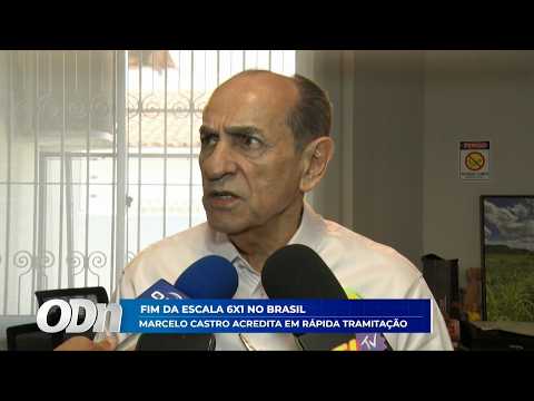 O Dia TV