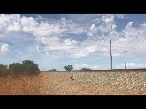 NR63 and NR96 lead 5MP2 with the last ever B set delivered and an epic driver Darren driving