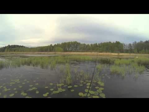 Hauen jerkkikalastusta keväällä 2014 # 1 + Ahvenen pilkintää / Pike fishing with jerkbaits
