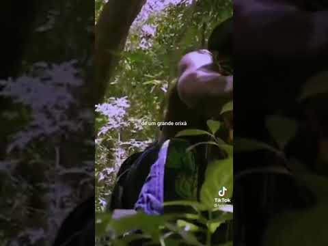 tava lá nas mata quando vi pai oxalá