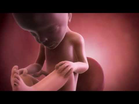 Your baby at 27 weeks | Week-by-week pregnancy | MadeForMums