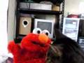 My Cat Meets ELMO I Give It To Francesca