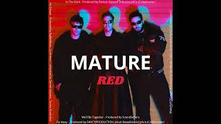 MATURE - In The Dark