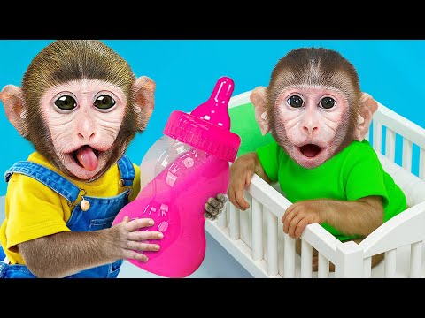 Mono MoMo & Mono Bon Bon va a recoger sandías y cuida bien al mono enfermo | MONO MOMO ESP