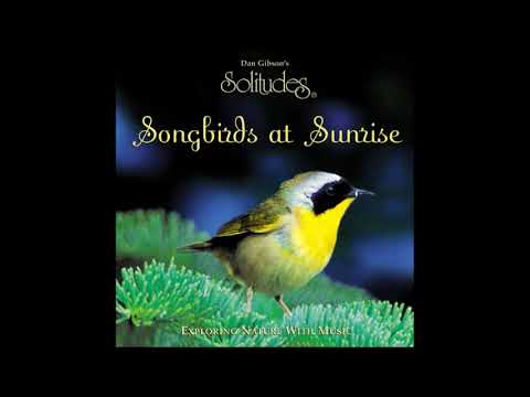 Songbirds at Sunrise - Dan Gibson & John Herberman