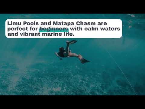 Snorkeling in Niue: A Guide to the Island’s Best Underwater Spots