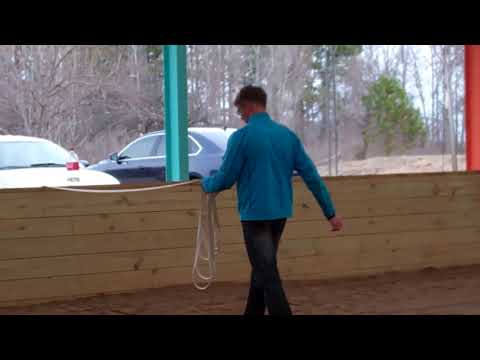 How to Wind the Lunge Line and Common Mistakes