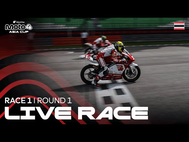 Ver video en YouTube